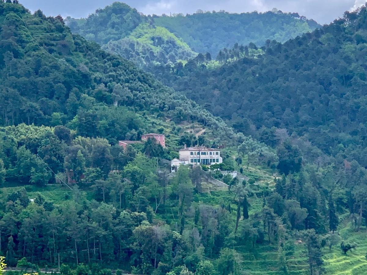 Agriturismo Villa Cavallini Camaiore Exterior foto