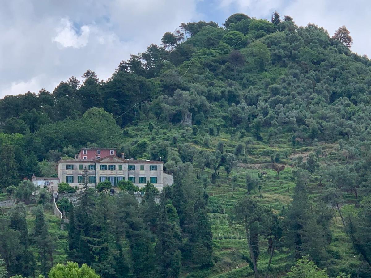Agriturismo Villa Cavallini Camaiore Exterior foto